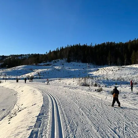 Feriehus Family With Views Of Nisser And Vradal